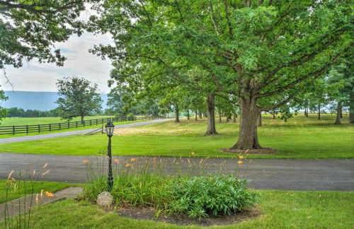 Renovated Farmhouse w Mountain Views and Fire Pit - Foto 42