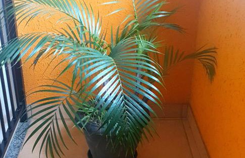 Apartamento Vista da Montanha - Foto 43