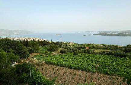 Apartman Dani - Foto 13