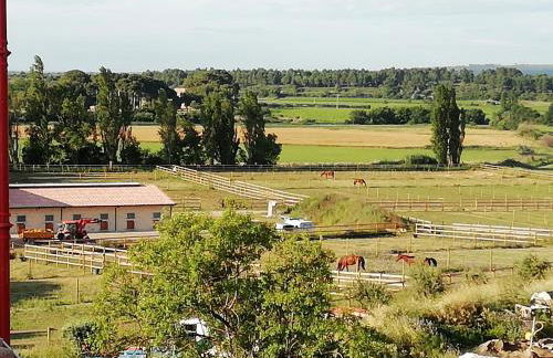 Domaine de la Vidalle - Foto 12