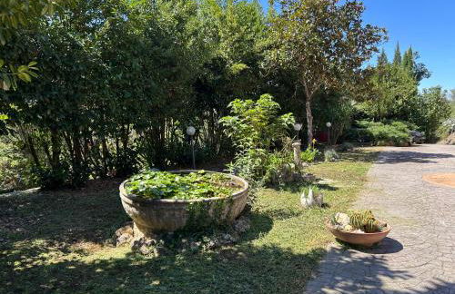 Country House Rocchette - Foto 44