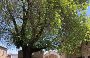 Casa do Pardal - Foto 22