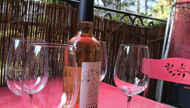 Bright T2 Workspace & WiFi Fiber, 5 min to Sophia Antipolis, 10 to Antibes - Foto 5