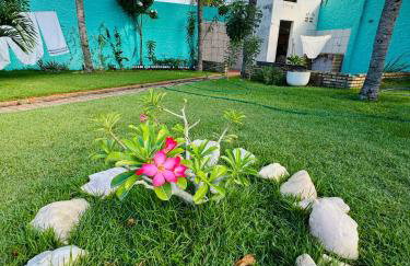 House Beach Canoa - Photo 48