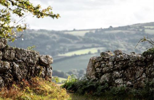 Swan Landing - Photo 24