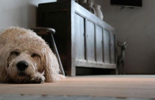 Romantikhütte Rothaarsteig - Foto 25