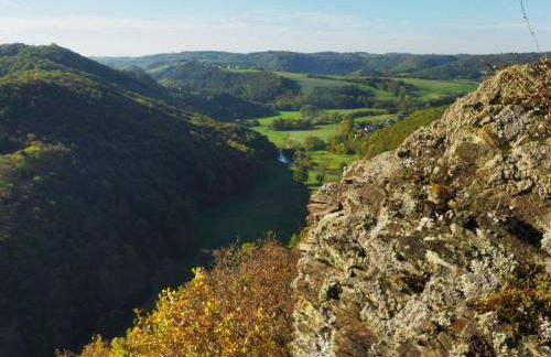 Apartment Chalet Wiedfluh in Waldbreitbach by Interhome - Foto 34