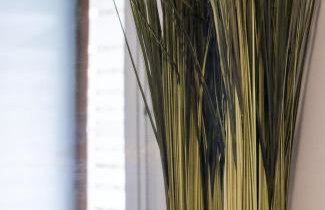 NiD'Amour le Rossignol Bezenac - Foto 8