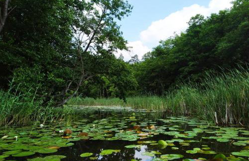 Domek letniskowy Nad Mrowinkiem - Foto 19