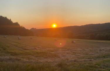 Ferienwohnung Waldblick - Foto 13