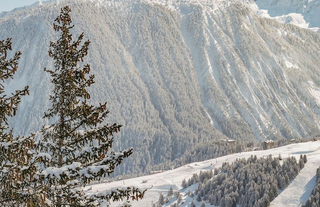 Hôtel Barrière Les Neiges Courchevel - Foto 80