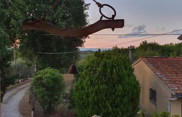 Sweet in Chianti - Foto 8