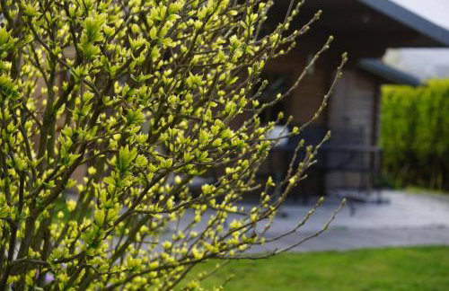 Direkt am See - Bodenseeresidenz in Bodman - Foto 44