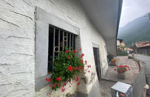 Casa vacanze il pettirosso. - Foto 7