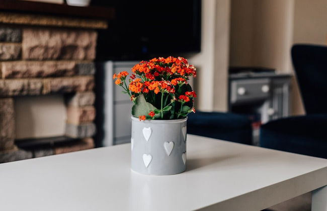 Park End House - Parking Pet Friendly - From 180 Per Night - Foto 48