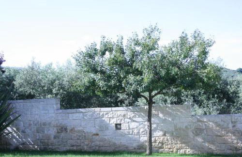 Villa Zenovia - Photo 41