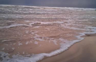 Ballymultimber Cottages - traditional cottages on the Causeway Coast - Foto 8