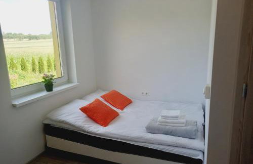 Ojcowski Las - Foto 36