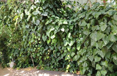 Holiday Home in Chalkidiki, Lakkoma - Foto 54