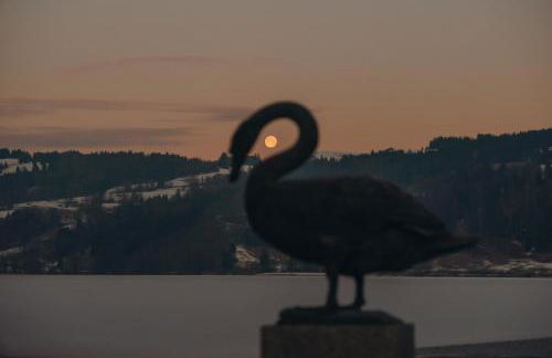 Hochwertige Alpenchalets Allgäu - Photo 32