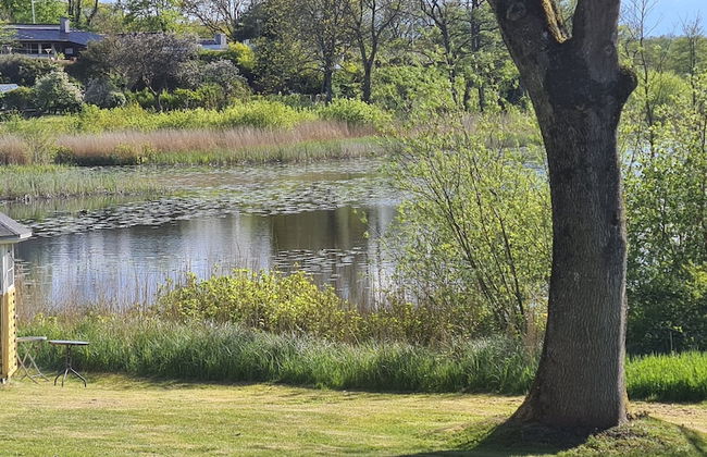 The Old Mill - By the Lake - Foto 46