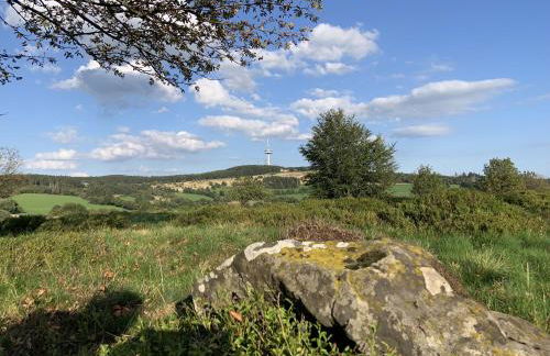 Bachmanns Ferienwohnung 2 - Foto 21