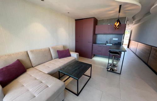 The White Waves TF Holiday Apartment Las Americas - Foto 10