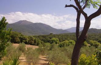 Casa Erbaggio - Foto 47