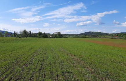 Tiny House Grabovac - Foto 47