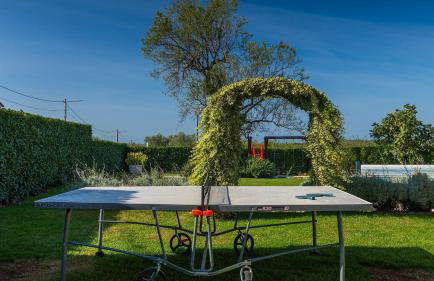 Activity villa Marula with outdoor pool in Buje - Foto 42