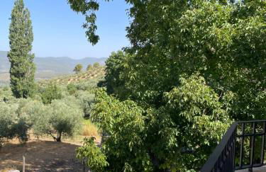 Vivienda Turistica Alojamiento Rural CASA IRENE II - Foto 12