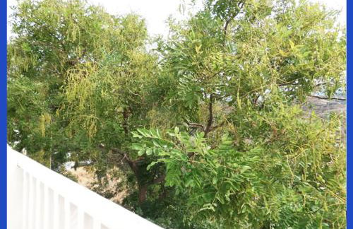 Kampos View Ikaria - Photo 34