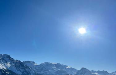 Chalet école des cimes - Foto 63