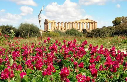 SE LO SENTI LO SAI - Foto 20