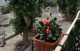 Antony's Hause - Foto 9