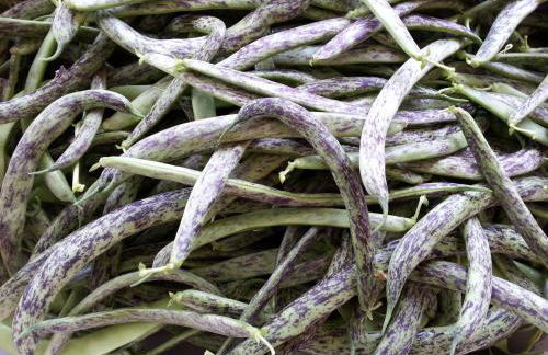 Agriturismo Fioredizucca - Foto 32