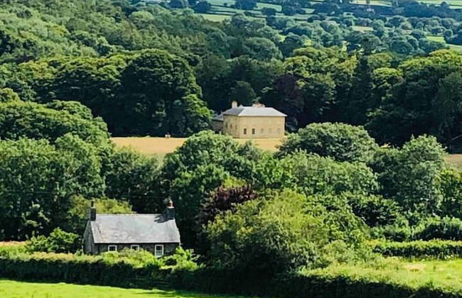 A Beautiful, Unique Lodge, Made for two - Photo 1