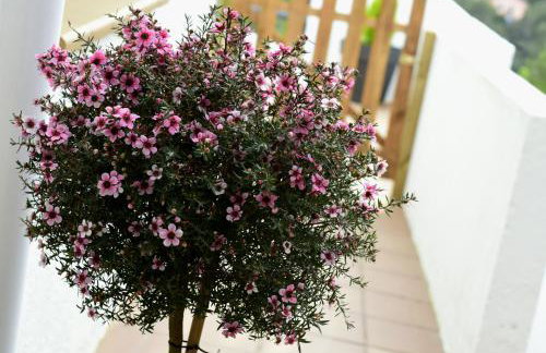 Nature Oasis near Barcelona with swimming pool Parties not allowed - Foto 16