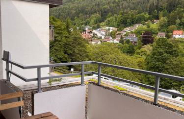 Die Ente an der Enz, mit Schwimmbad und Sauna - Foto 23