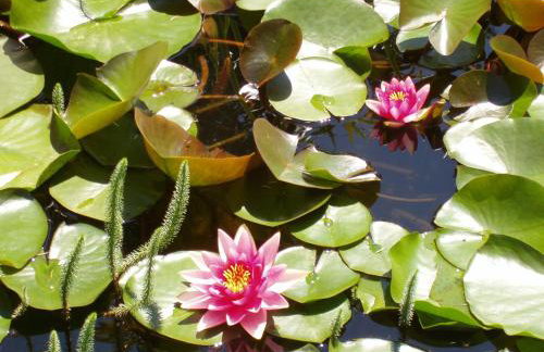 Köstenholzerhof - Foto 2