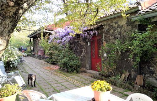 Cirasellaetna - Foto 53