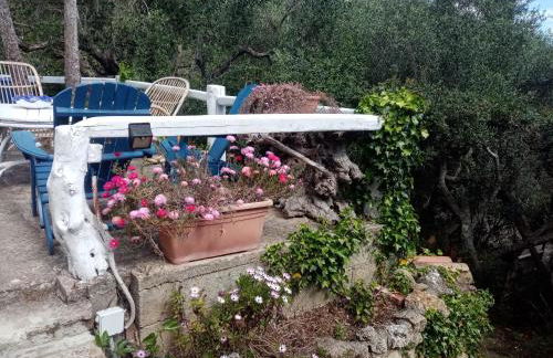 Cottage Pura Vigna immerso nella natura vicino al mare - Foto 13