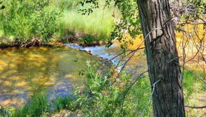 Virgin River Retreat East Zion & Bryce - Foto 5