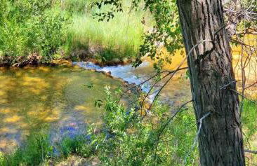Virgin River Retreat East Zion & Bryce - Foto 5