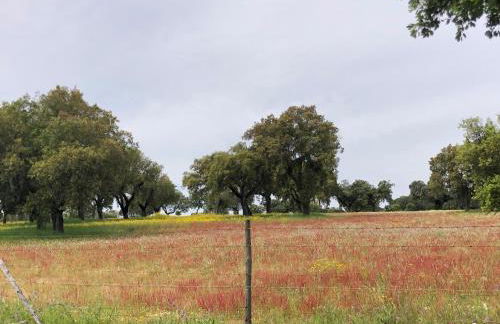 Monte da Boavista - Country family house - Foto 12