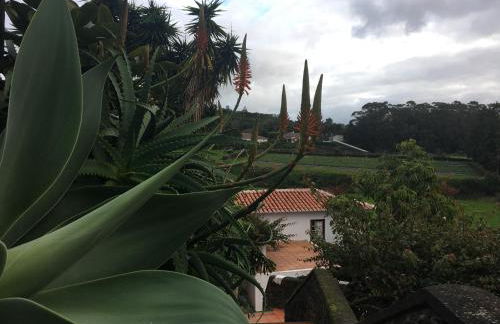 Casa do Pombal - Photo 17