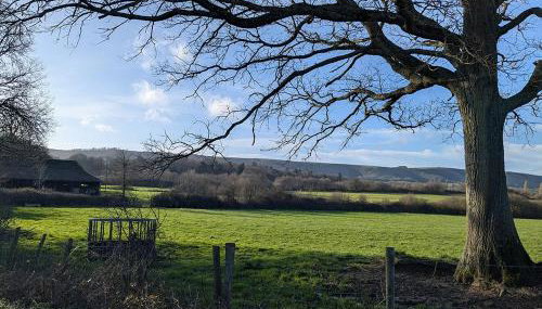 Cosy annexe in the heart of the Sussex countryside - Foto 3