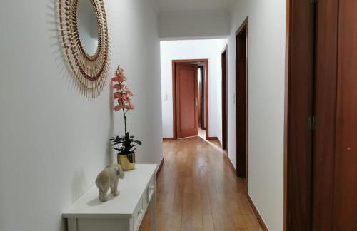 Pico Barcelos - Funchal - Foto 25