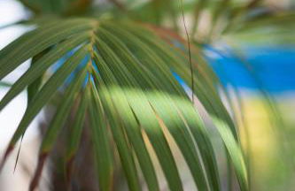 Skyview Paradise House - Photo 19