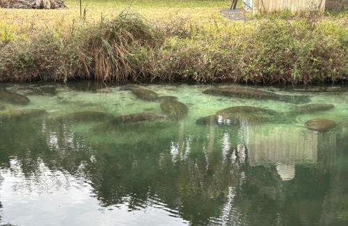 Natures Nest Waterfront - Photo 37